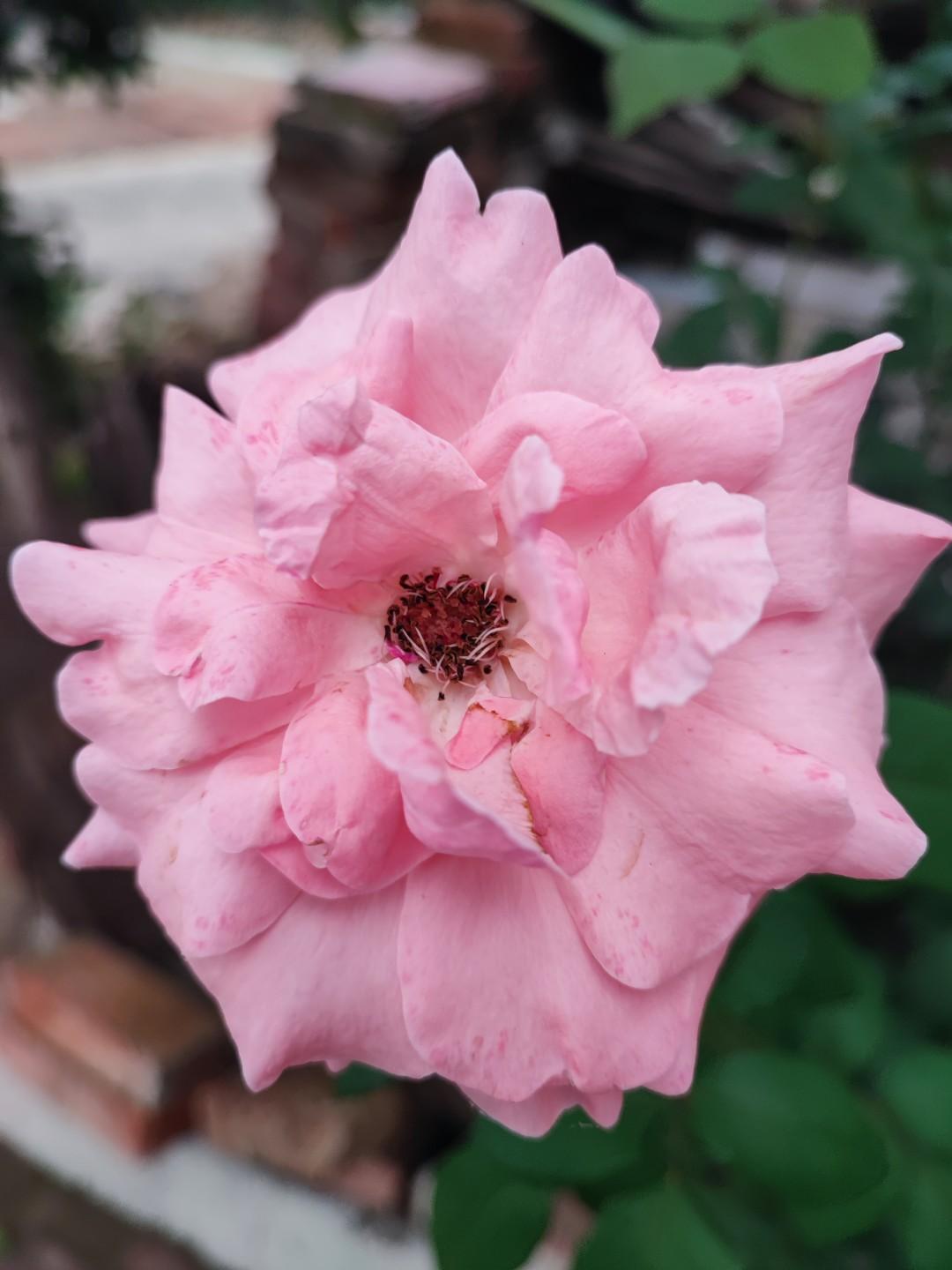 这样的人没病还寿命长。你发现了没有，身边很多年龄大的人，不但身体好，还没