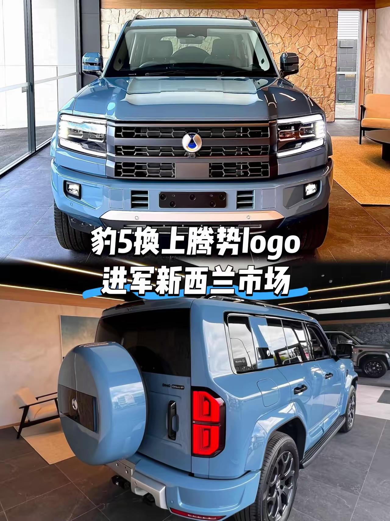 豹5出海，居然把“方程豹”的帽子摘了，换上了“腾势”的标。你还别说，这么一换