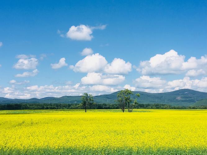 呼伦贝尔财政继续稳定！2026年1月呼伦贝尔全市地方财政收入完成11.91亿