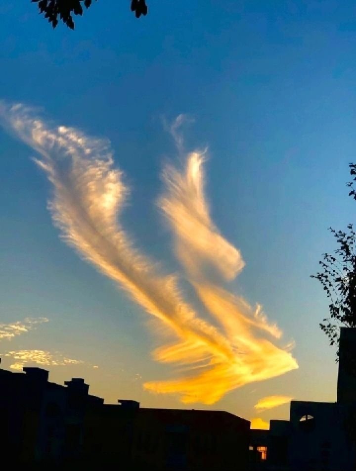 玄学方法——祝由术🙏🙏🙏百病全消，清清灵灵，心下丙丁右观南斗，左观七星吾能