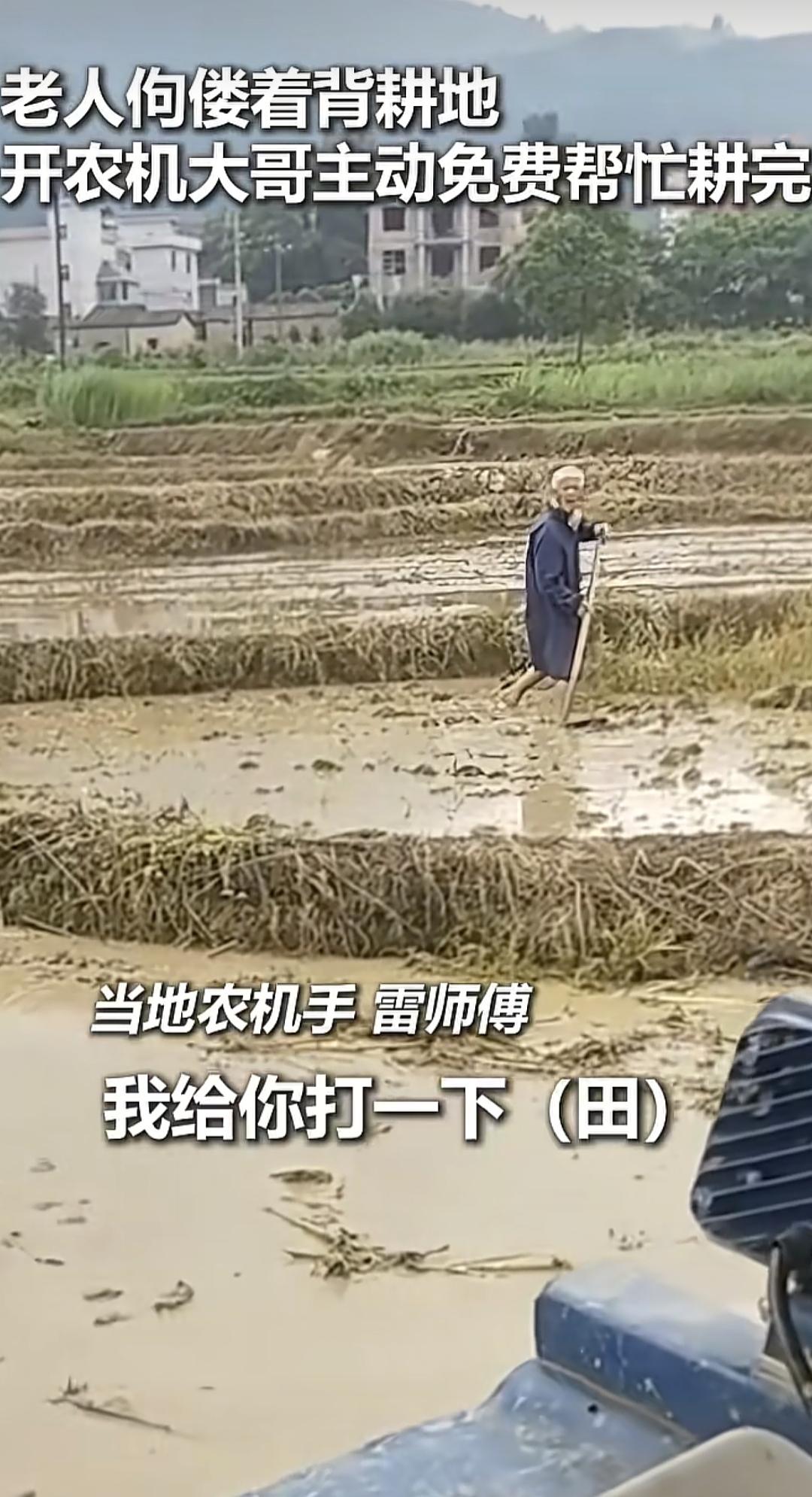 江西吉安，正午气温飙升到38摄氏度，一位白发老人顶着烈日在田里刨土翻地，佝偻
