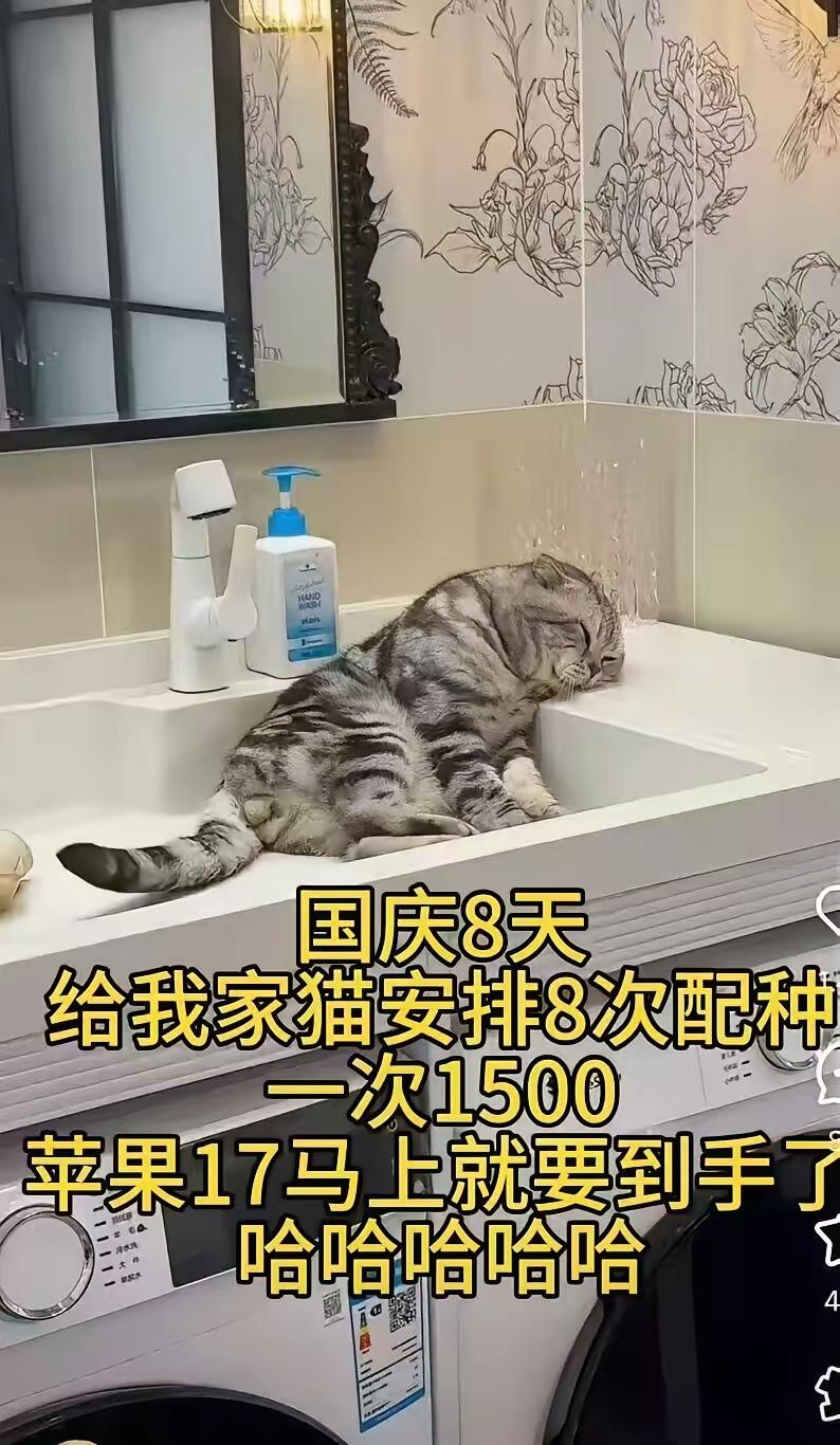 想起了一个很老的段子：某人拉着他老婆，朝着配种的猫，感慨地说：看看人家，