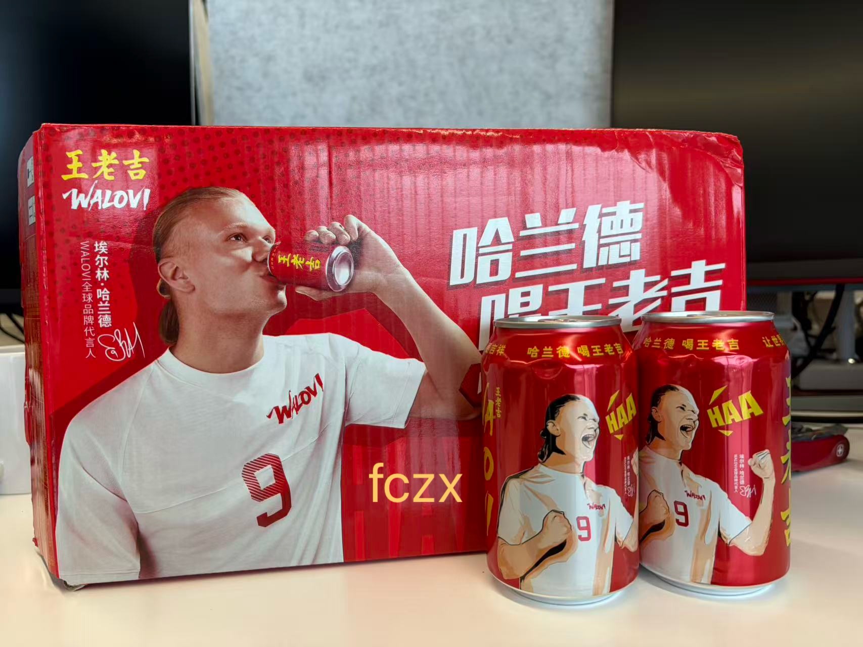 召唤神龙谢谢haalandcup