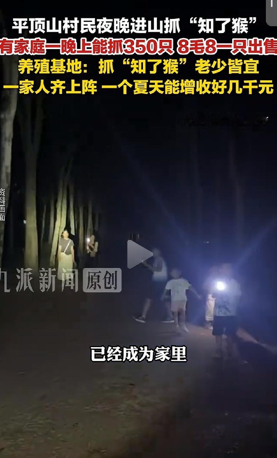 捡钱了！河南平顶山，每到天黑大批村民戴上头灯、提着小桶，往树林里钻。本以为是去乘