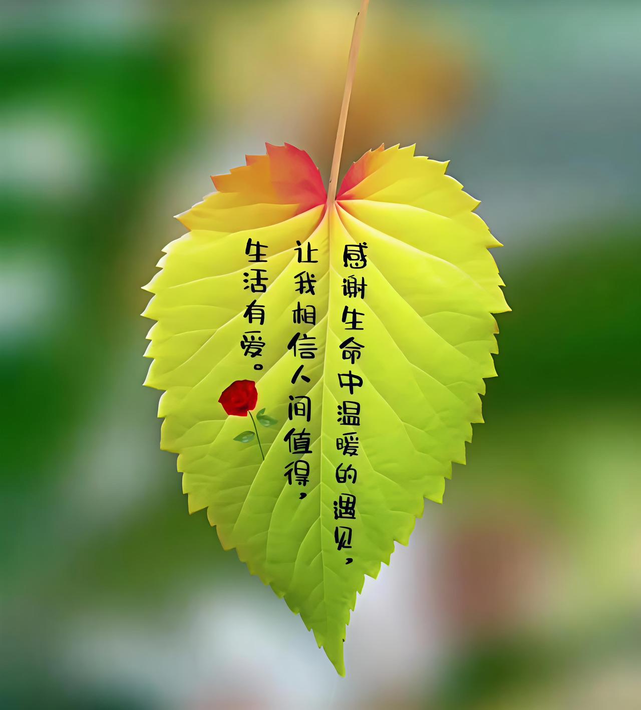 下联：路远人归万里情赏析：寒天置酒，本是待客思人之举。下联落笔于归途与乡情，