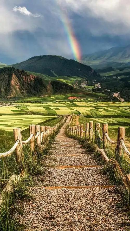 人到中年，最大的心酸就是明明满身疲惫，却不敢倒下，不敢诉苦。年少时无牵无