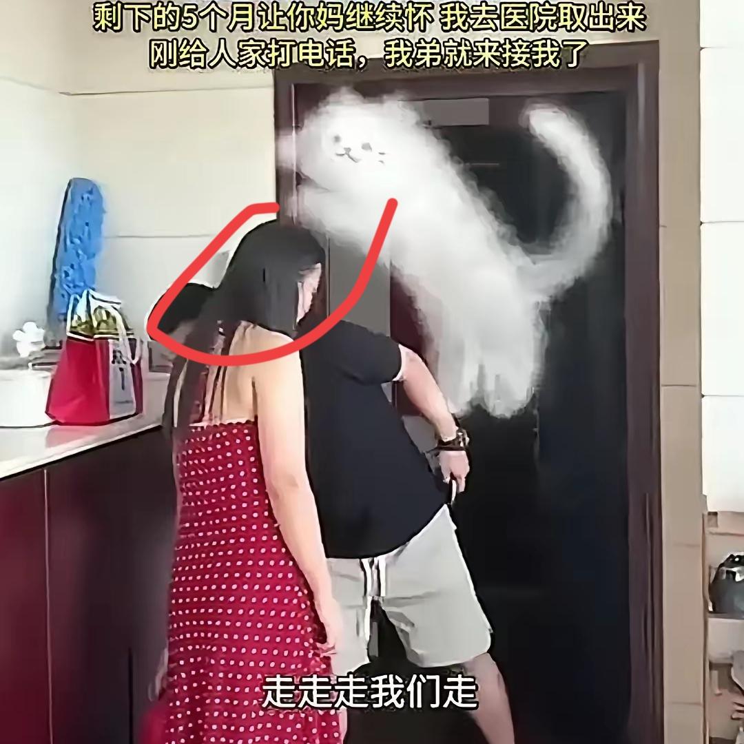 老公竟然对怀孕老婆说出这样的话老婆孕吐到没法上班，老公居然说“没收入就AA”