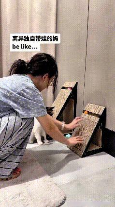 乖乖嘞，你瞅瞅这画面，也太有意思啦！主人买回来俩猫抓板，打算手把手教家里小猫玩。
