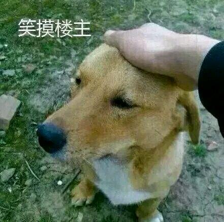 男朋友的父亲是某985的长江学者，他在微信里给我发“我爸因为武大这事都不招女学生