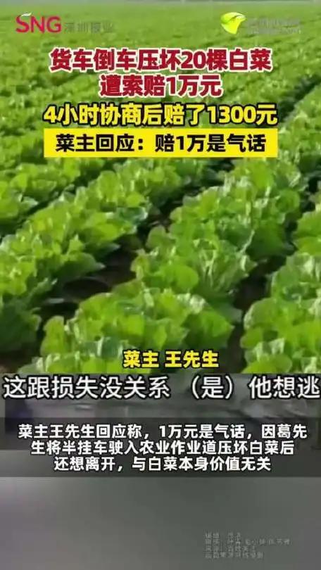 辽阳，男子在倒车的时候，压到了20几颗白菜，有人要求赔偿5000，后来报警，菜主