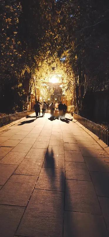 只有内向的人才能看懂的这七句话,你中了几句?尤其是最后一句最扎心。第一,听到