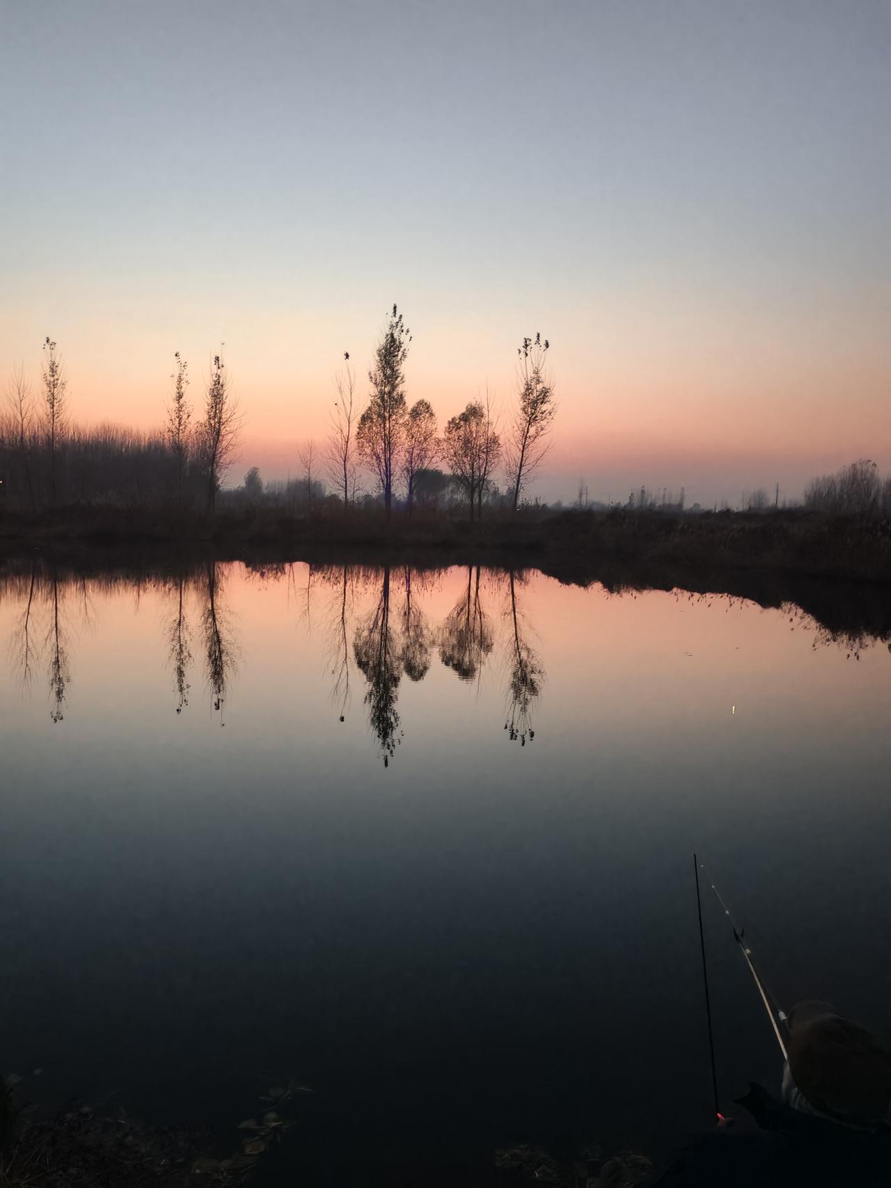 凌晨三点多，村里突然传来“突突突”的三轮车引擎声，把整个村子的安静都搅乱了！村里