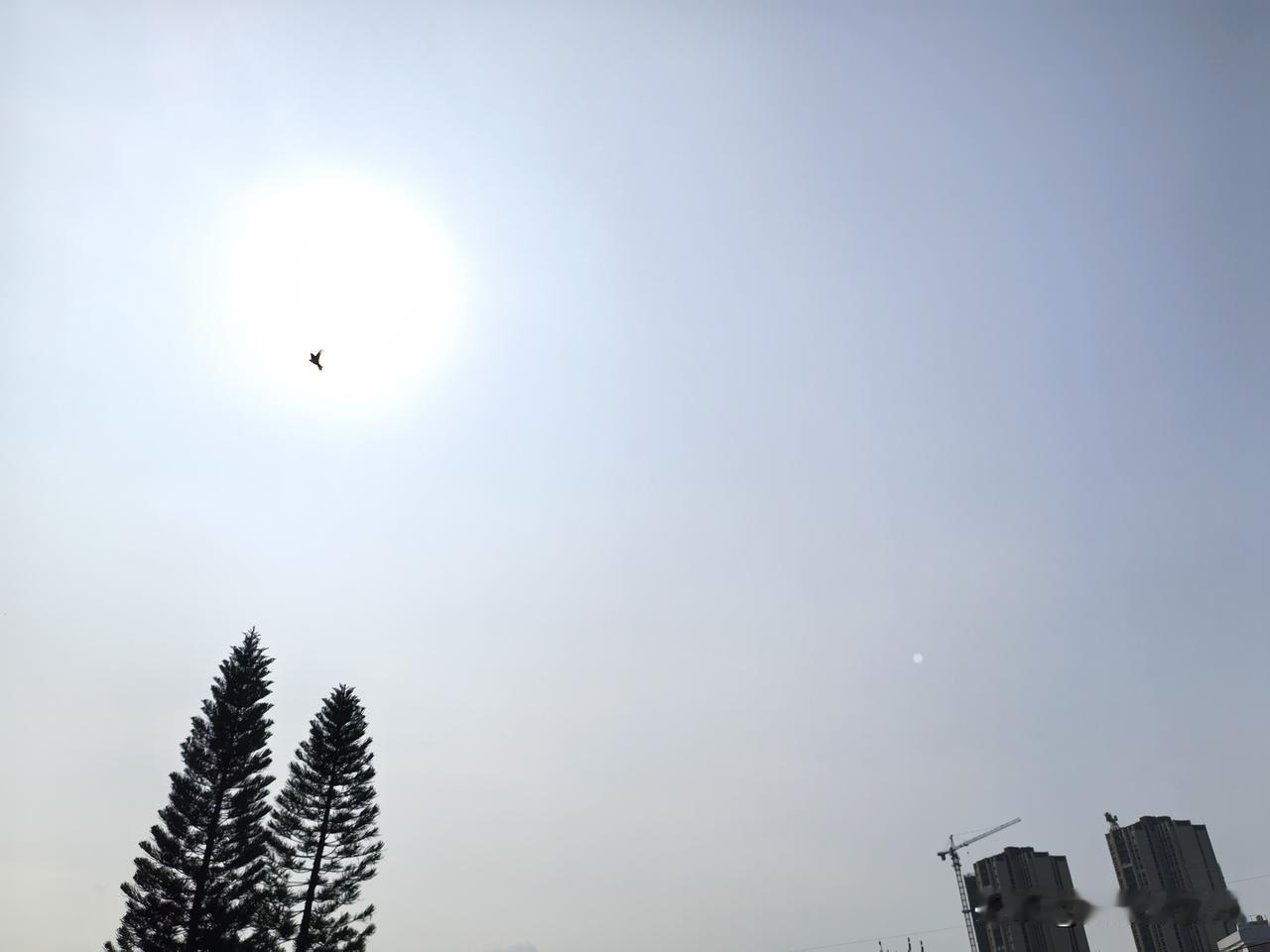 广东阳光搭配雷雨，局地雨势大，暑热又要升级啦～6月1～3日，广东大部天气炎热