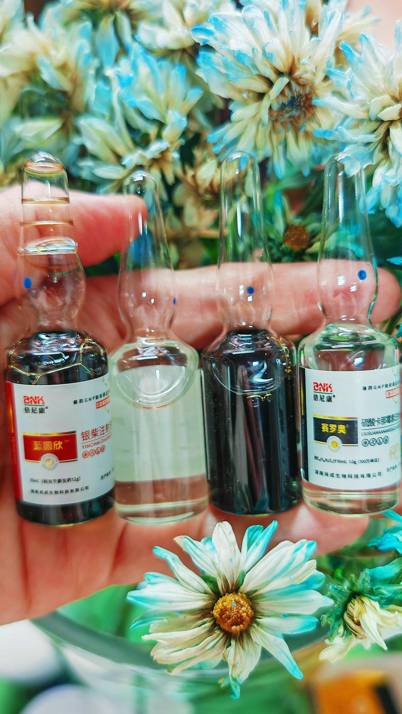 养羊人农村养羊牛羊技术