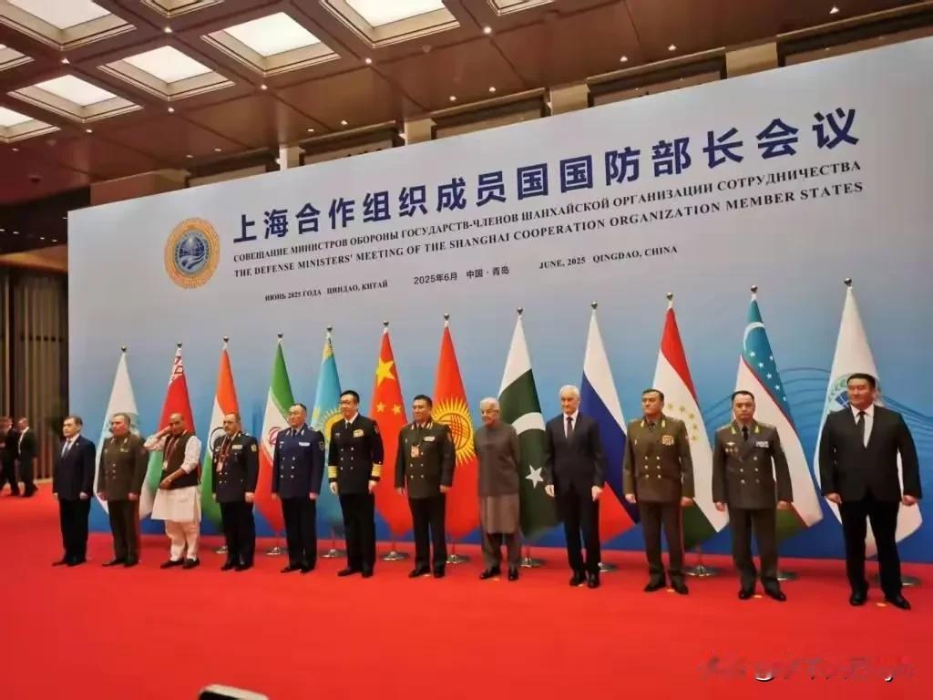 为期两天的上合组织青岛防长会议，印度又充当搅屎棍。6月25日，上合组织国防部长