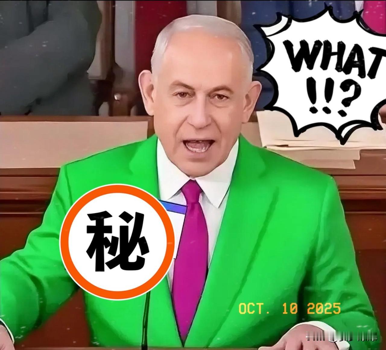 就在刚刚以色列政府公布了！以色列当局于10月10日公布将根据停火协议释放