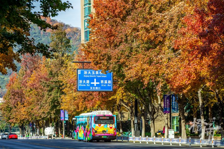 杭州这条“五彩大道”, 美得像画, 却鲜为人知