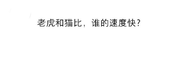被猫的反应速度惊到了​​​​
