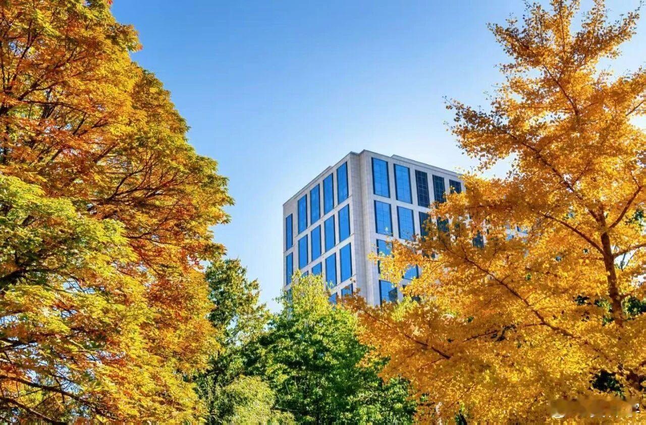 如果你抑郁了，说明你活在过去；如果你焦虑了，说明你活在未来；如果你平静了，说明你