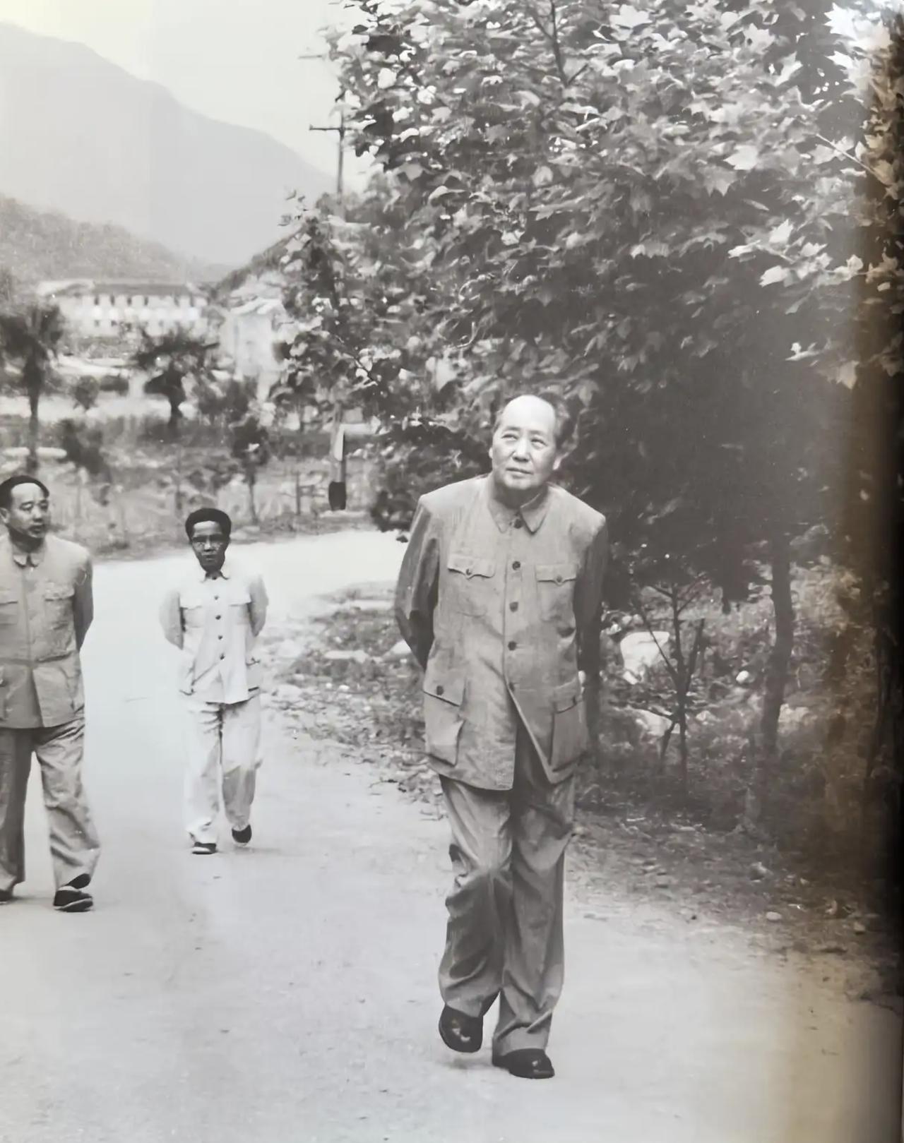 下图是毛泽东重上井冈山的真实照片，毛泽东重返井冈山时虚岁已经72岁了，但从照片头