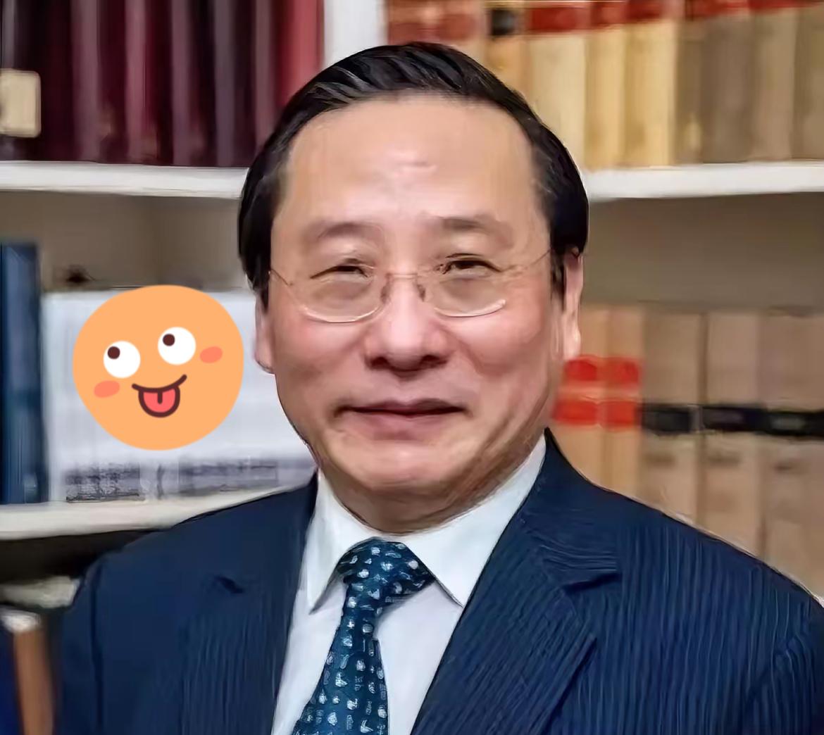 国际学术会议上演“沉默的较量”！欧美专家瞬间哑口无言​​​高志凯先生用流利的