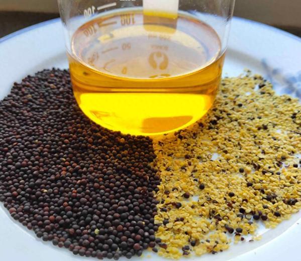 中国刚下单9船油菜籽，美方突然审查AUKUS，特朗普一口气收割两国中国这刚甩