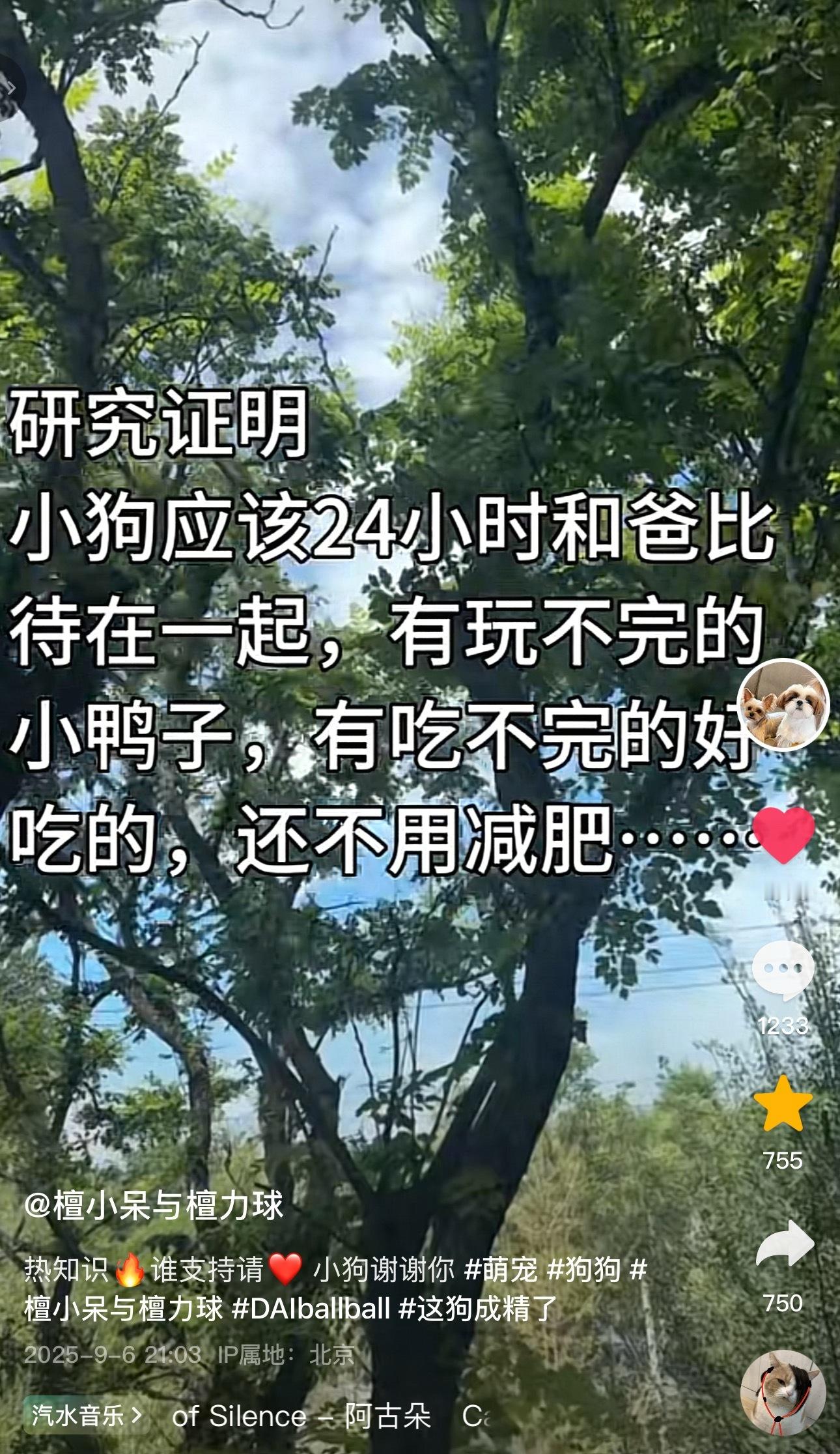 我也想做爸比的小狗​​​