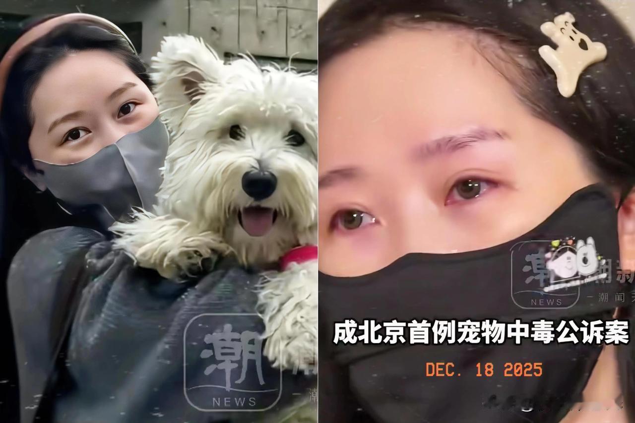 这下案情算是简单明了，就是张谋华把浸泡过氟乙酸钠的鸡脖投放在小区狗喜欢光顾的公