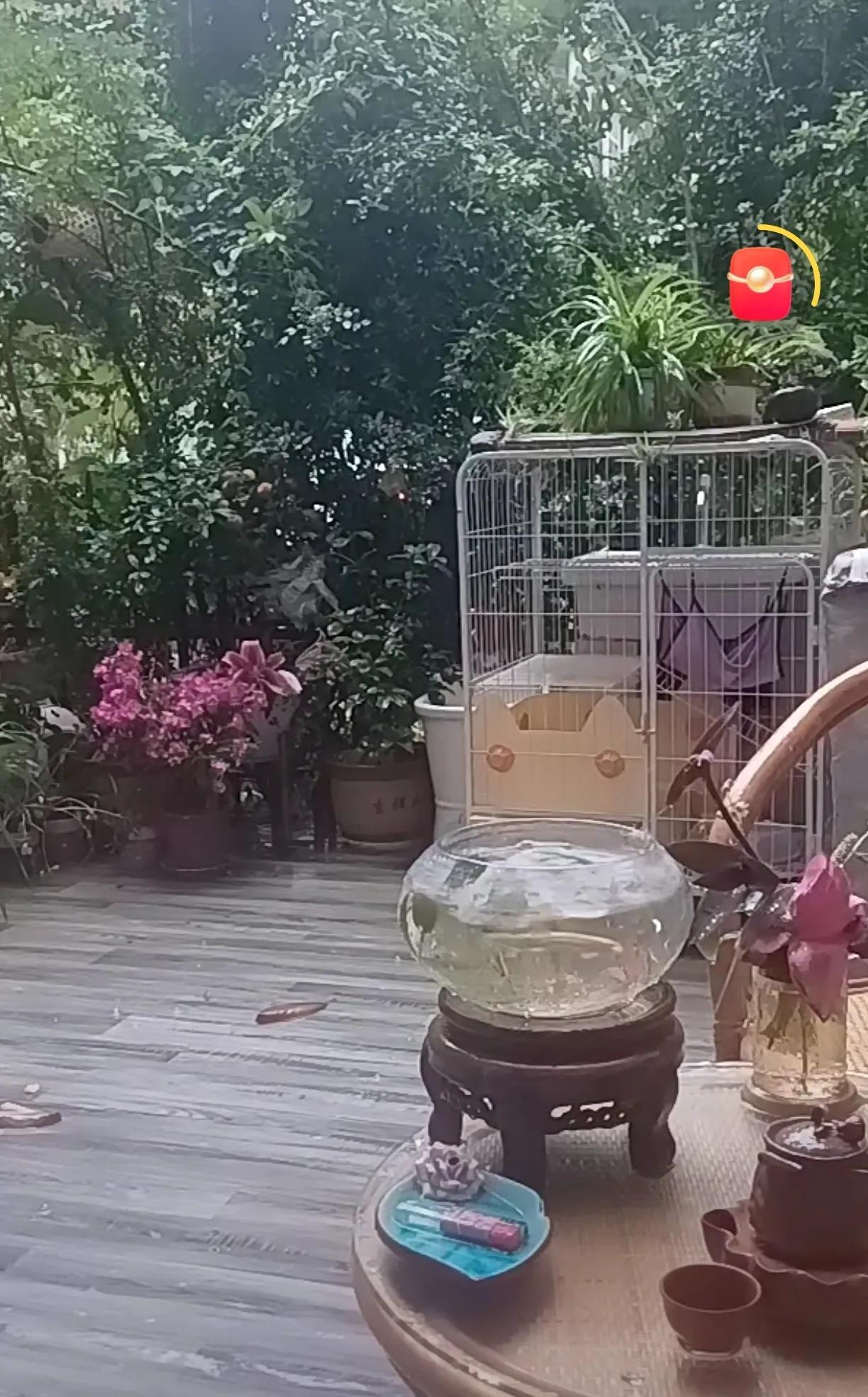 虽然大家对三拒开会有担忧，但只要召开，就是胜利！这场会议的背后，隐藏着巨大的