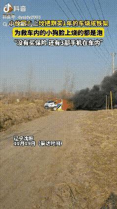 损失大了！辽宁沈阳，男子开车回乡上坟，当时车停的离坟地比较近，车门也没有关，