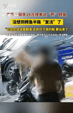 广州一小哥做跑腿，接到一单运送鳄鱼12公里，费用26元，觉得有点意思，到了商家那