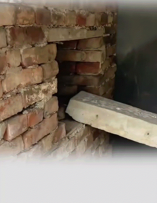 意外又暖心！江苏南通，一女子因最近怀孕了，爷爷奶奶得知后啥也没说，结果第二天俩老