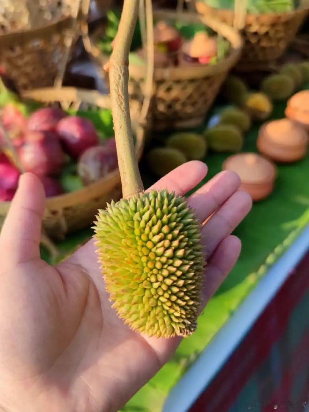 巴掌榴莲河南娃童年少不了这口烧麦香有人说它是"智商税"，但我告诉你——这不是智