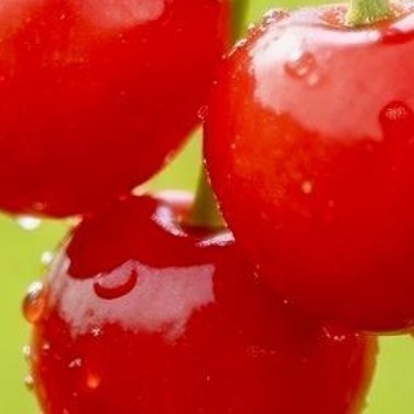 种植文案🍒樱桃种植0000种植樱桃的方法樱桃种植技术涉及多个方面，包括品种选