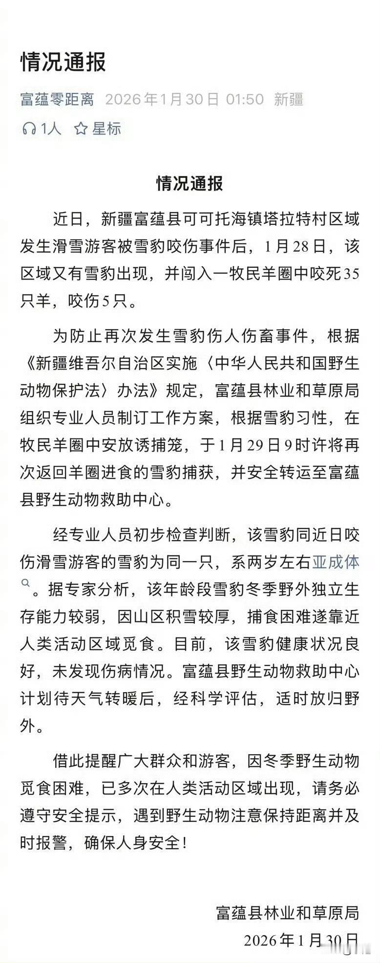 新疆可可托海，一只雪豹五天之内干了两件大事。先是扑倒了一名滑雪游客，转头又闯进羊