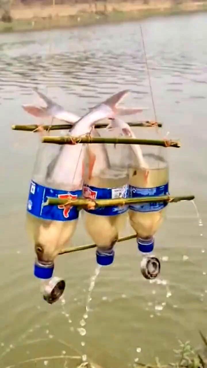 彻底服了！这哥们的捕鱼方式真不是盖的。就地取材，搞来3个大塑料瓶串一起。最绝