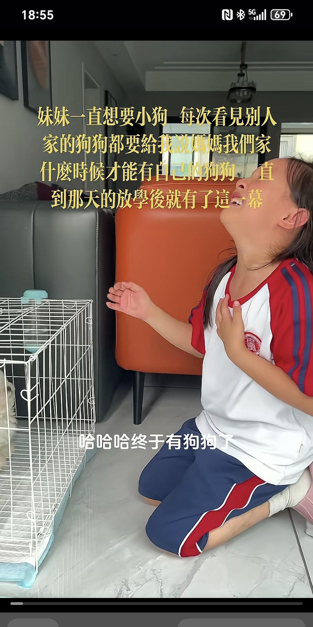 妹妹一直心心念念想要只狗狗，每次瞧见别人家的狗狗，都会缠着妈妈问：“妈妈，咱们家