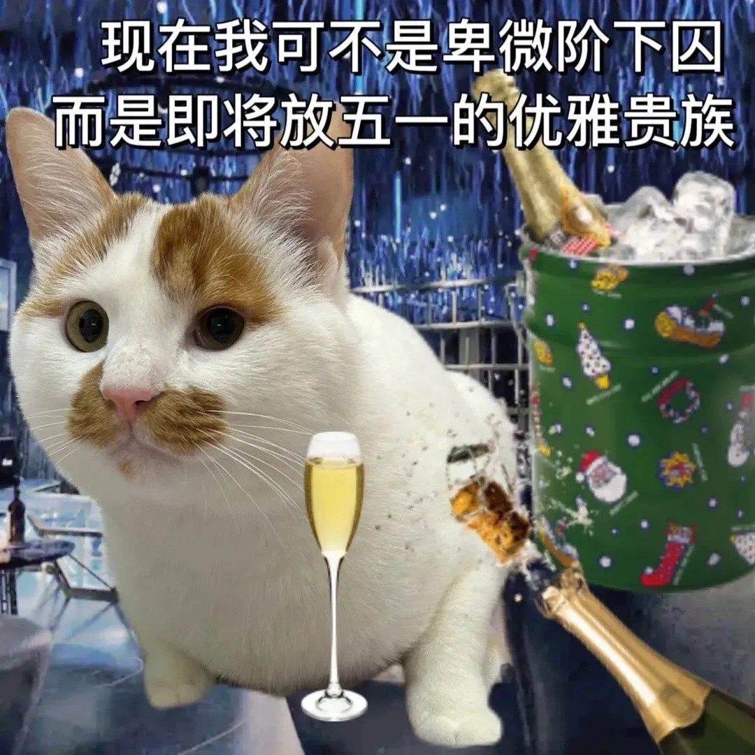 表情包放假时间到​​​