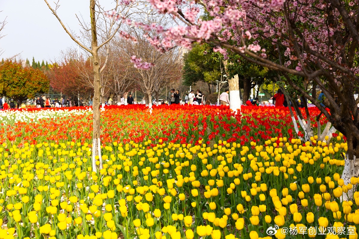【大道无形：投资的常识最难】“大道无形”是段永平先生的投资精髓，道出了最本质也最