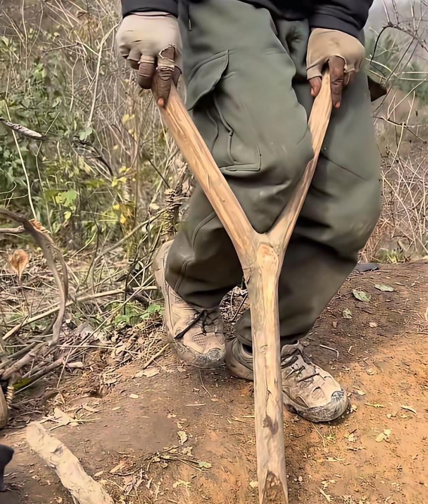 54号老中医把荒野玩成了文明升级游戏。黏土捏罐，木片做锄，山坡开地，顺手抓野鸡