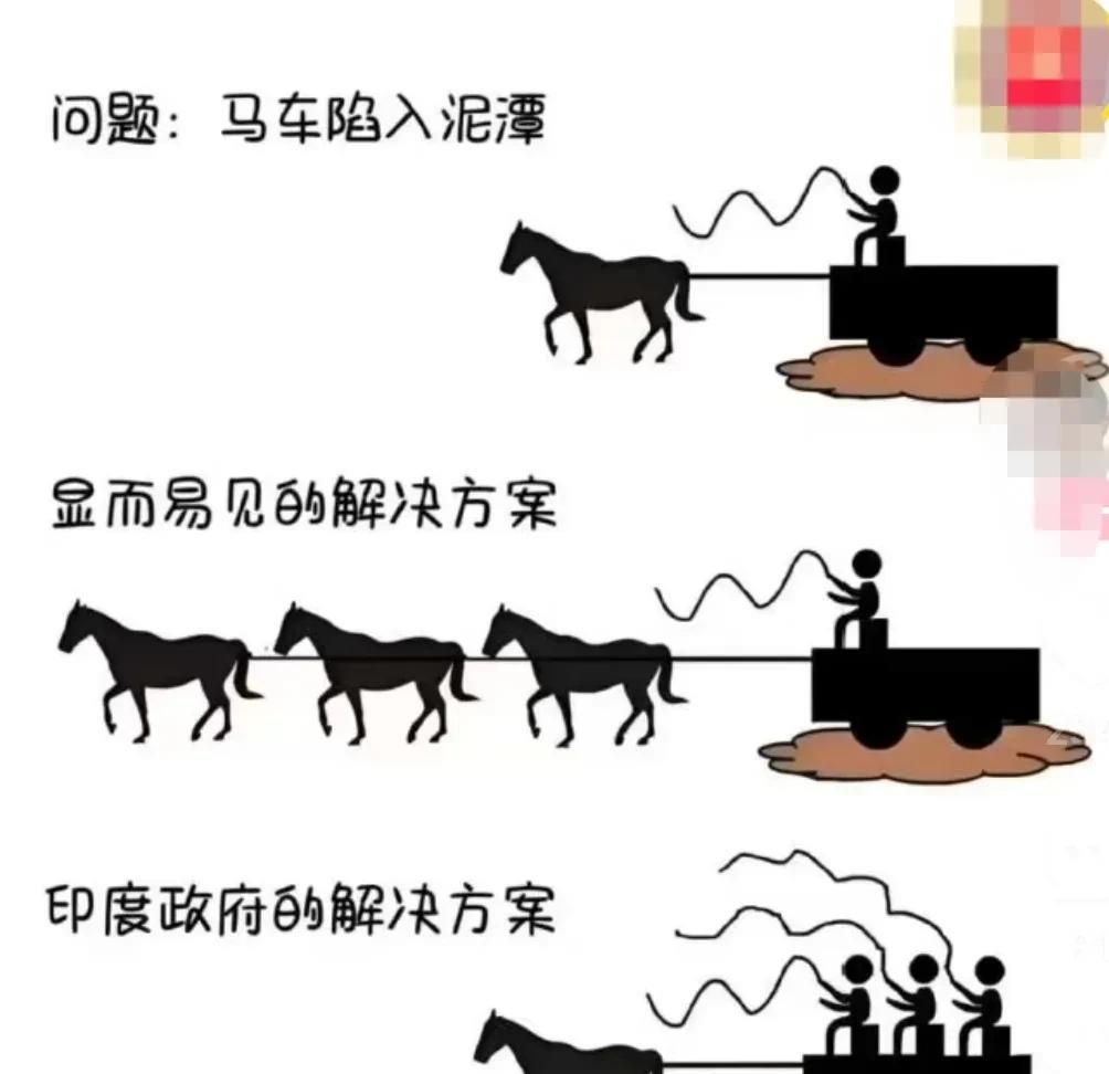 如果不说是印度，我还以为是日本哪。懂的都懂……