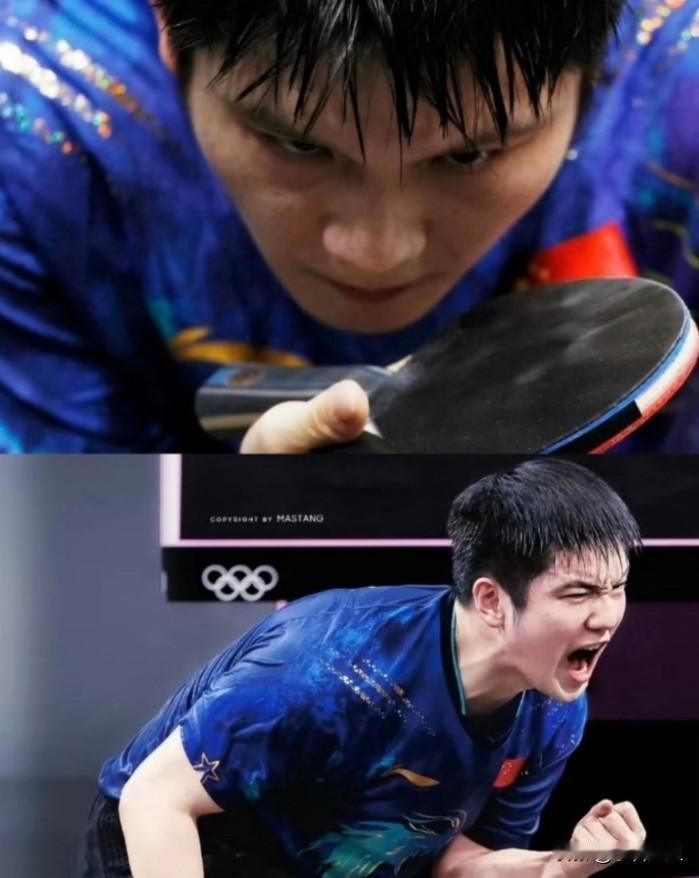 终于知道，樊振东为啥一年拿下5个重磅荣誉，不是因为他是“大满贯”，也