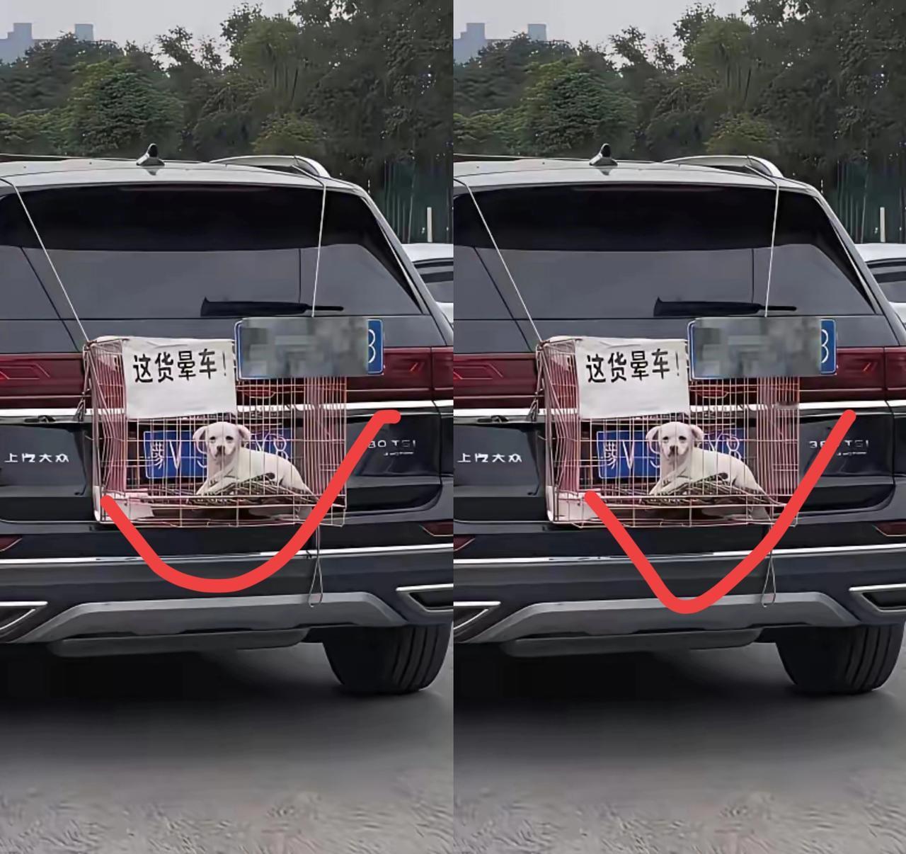 这波操作太绝了！怕网友说他虐狗，这哥们直接留字条堵嘴：这货晕车！