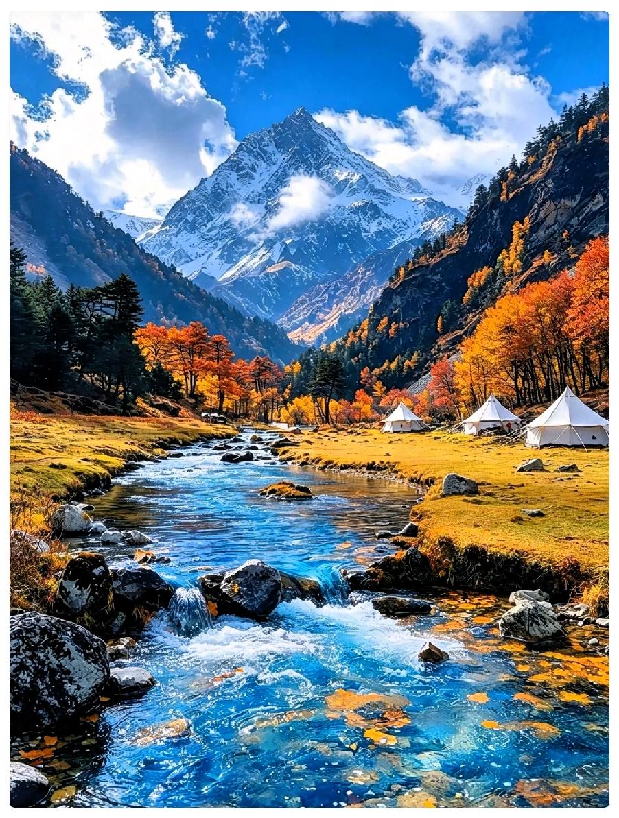 我妈刚从新疆回来，15天夕阳红专列，行李往地上一扔，开口就说：倒找我一万，我都再