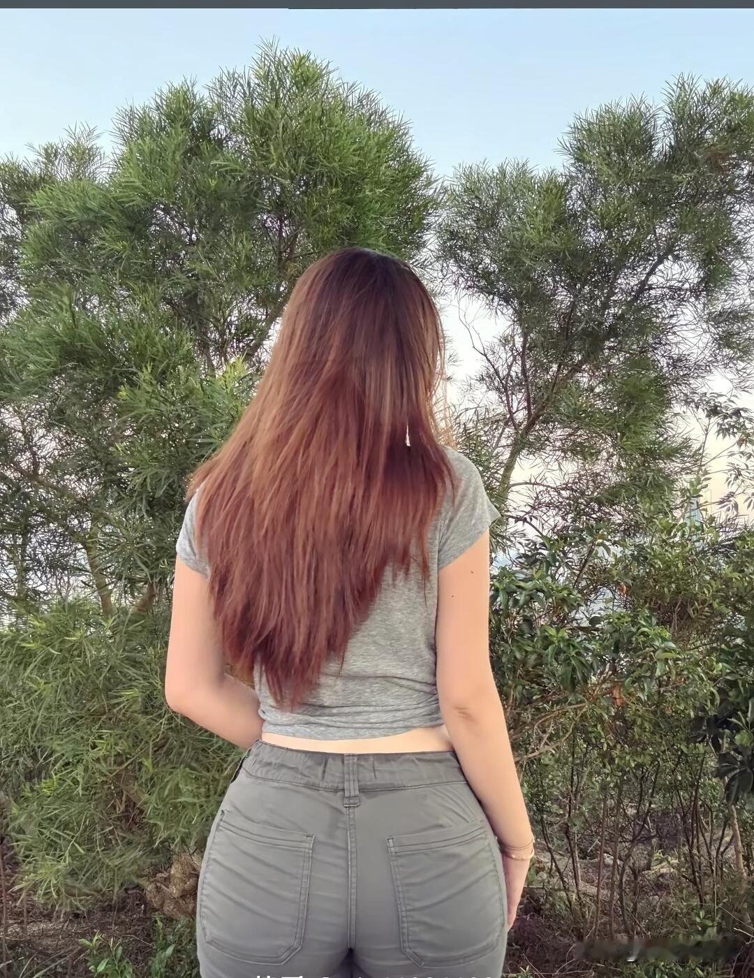 你的愿望就是我的想往。