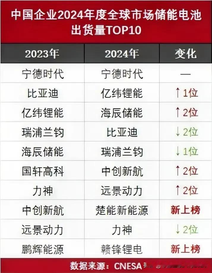 中国企业2024年储能电池全球出货量TOP10排行榜