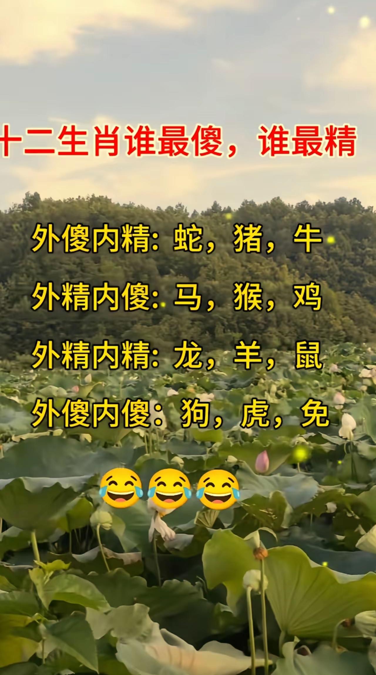 一张图分清生肖类型，外傻内精还是外精内傻，准不准你来评生肖文化属相解析