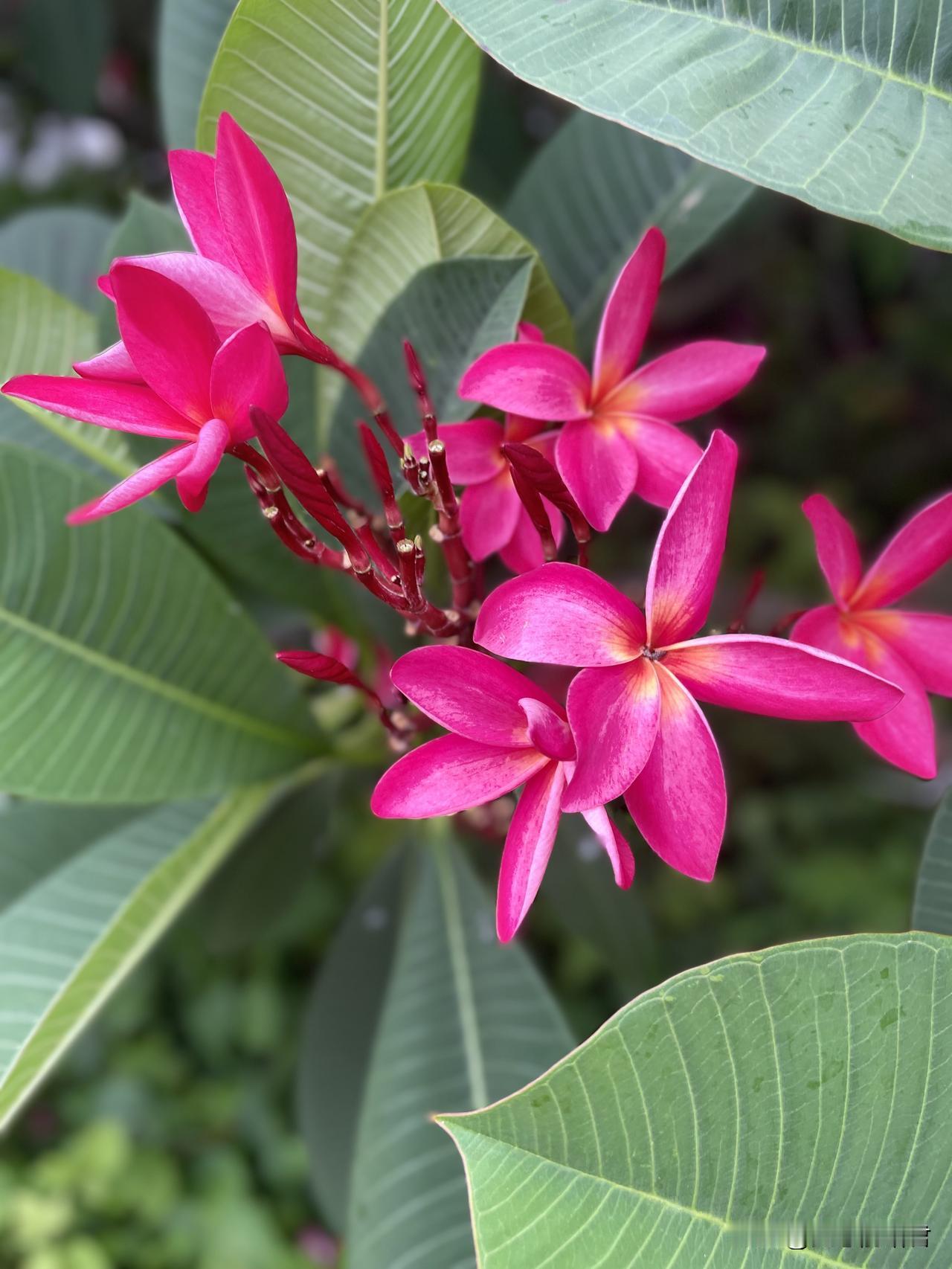 老公让她帮忙照顾婆婆三天，她都把婆婆照顾到医院去了，这样的老婆，谁不跟她离？一女