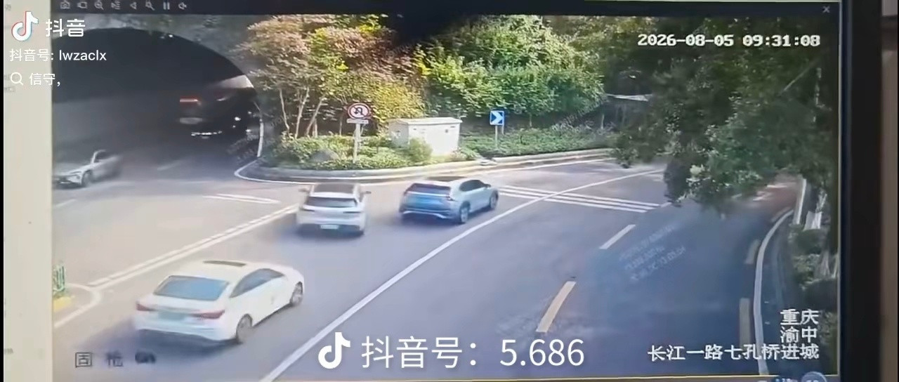刚看到这个这是司机老哥踩错踏板了吗