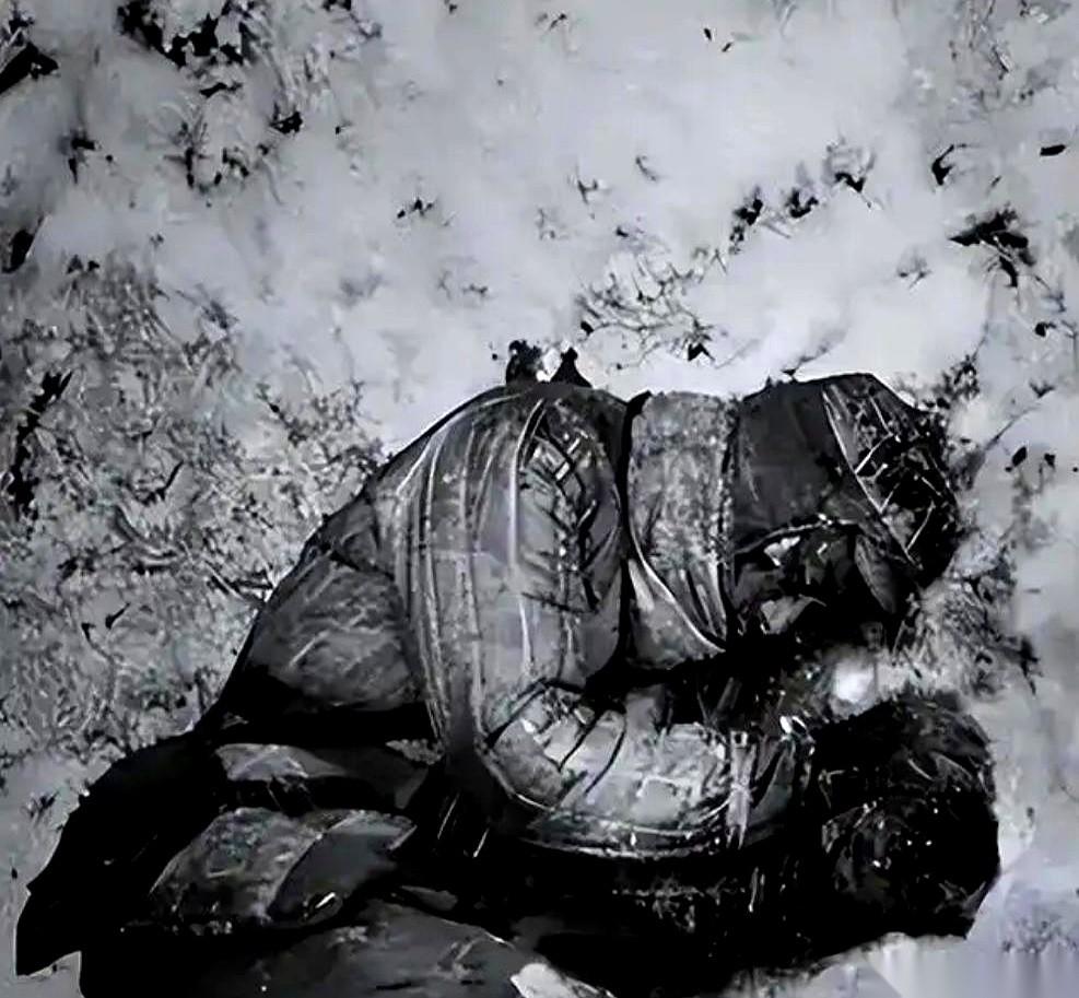 他被美军划开肚子，肠子混着棉絮冻在雪里。醒来后，没了双手，没了双脚，瞎了一只眼